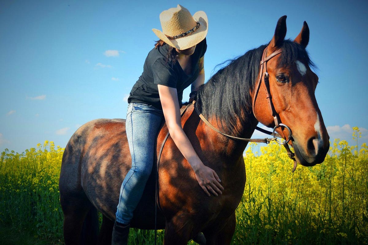 Urlaub mit Pferd in der Sächsischen Schweiz – Erholung für Mensch und Tier