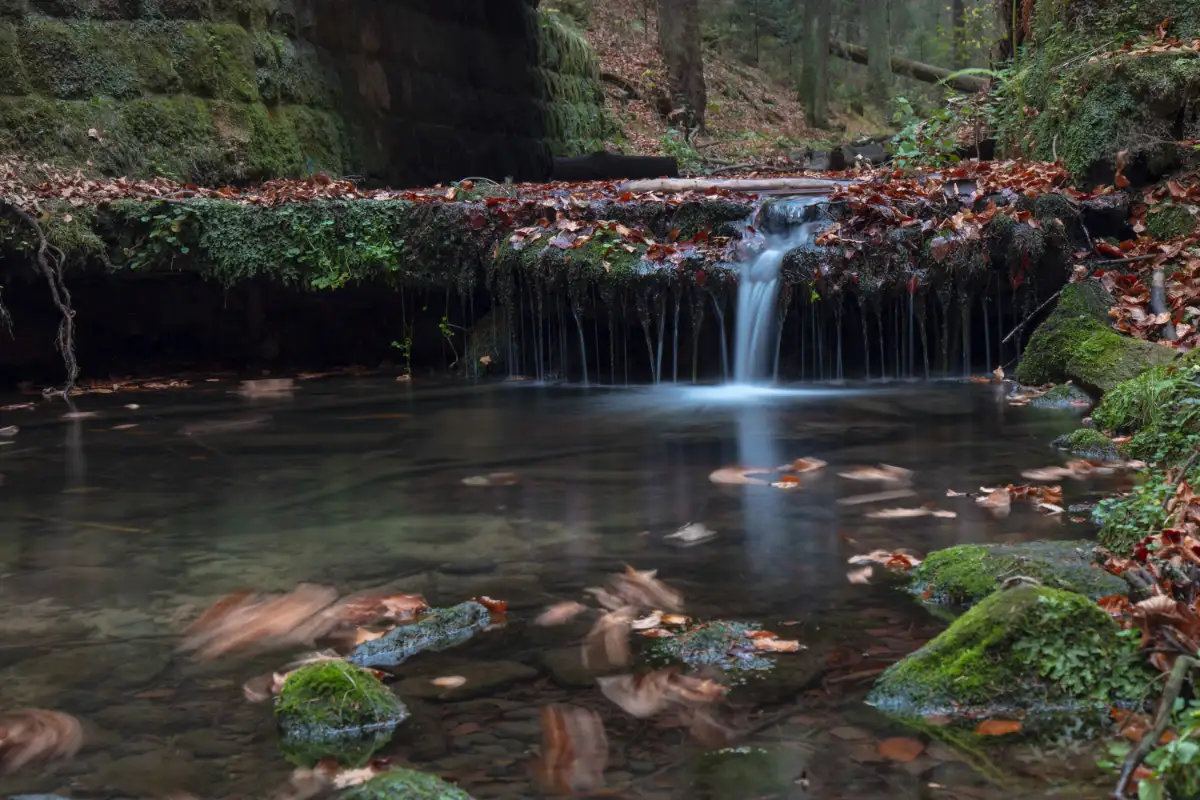 Wanderroute 7 – Rundwanderung vom Hotel „Zur Aussicht“ durch das Schwarzbachtal zur Napoleonschanze