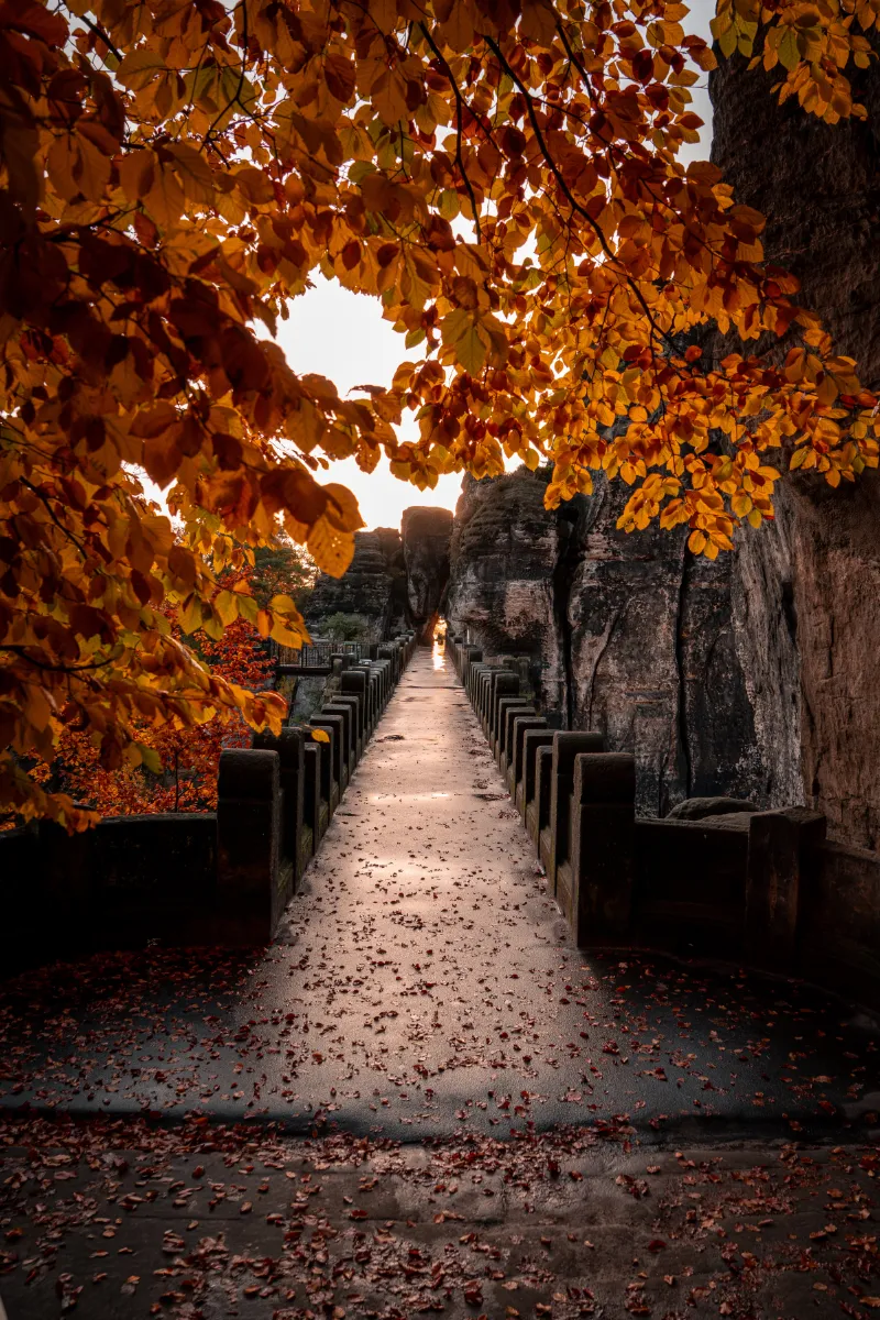 Hotel „Zur Aussicht“ Hohnstein – Umgebung – Basteibrücke im Herbst Hotel "Zur Aussicht" Hohnstein - Umgebung - Basteibrücke im Herbst