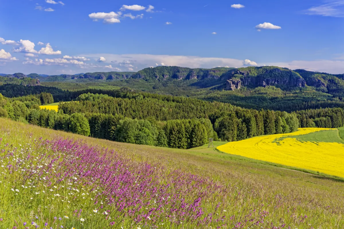 Hotel „Zur Aussicht“ Hohnstein – Umgebung – Blick von einer Wiese bei Mittelndorf zum Bloßstock Hotel "Zur Aussicht" Hohnstein - Umgebung - Blick von einer Wiese bei Mittelndorf zum Bloßstock