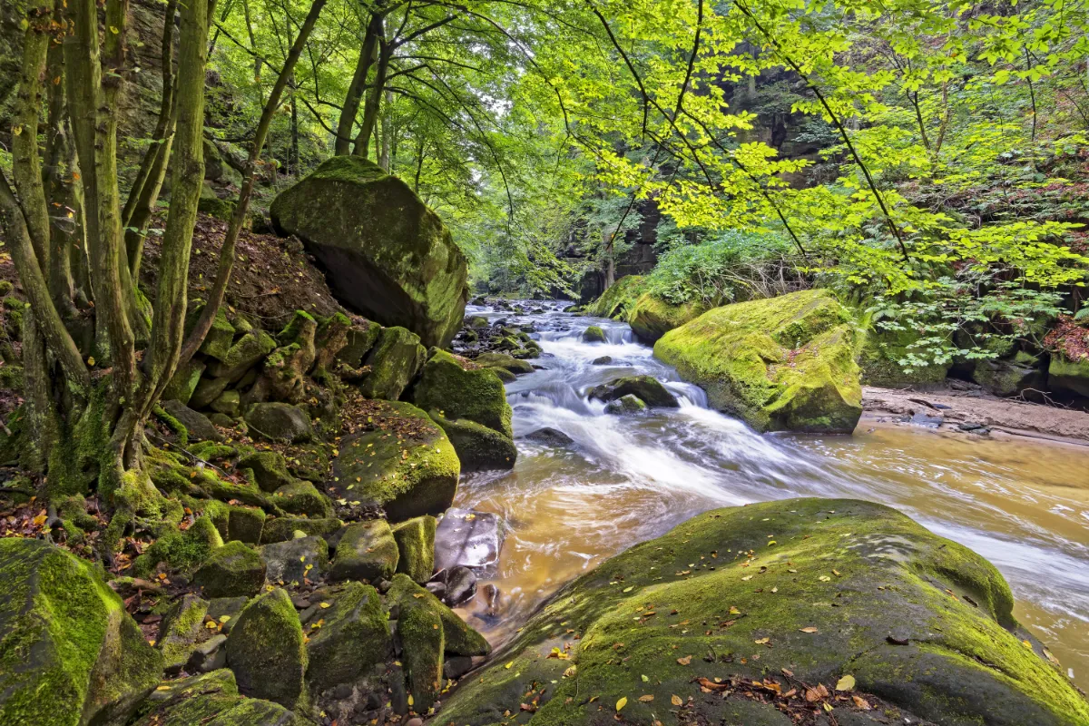 Hotel „Zur Aussicht“ Hohnstein – Umgebung – die Wesenitz im Liebethaler Grund Hotel "Zur Aussicht" Hohnstein - Umgebung - die Wesenitz im Liebethaler Grund